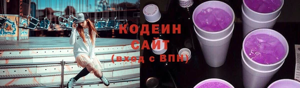 spice Богородицк