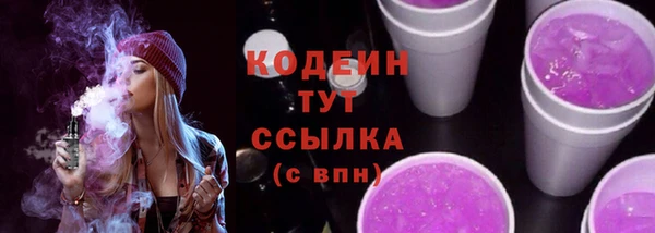 spice Богородицк
