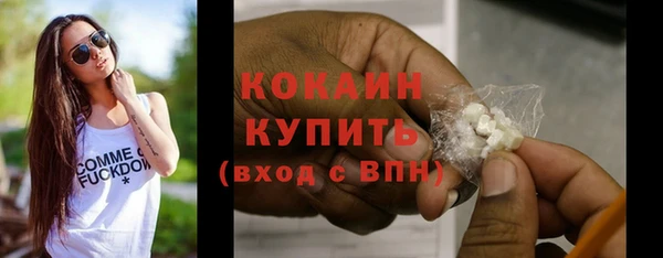 spice Богородицк