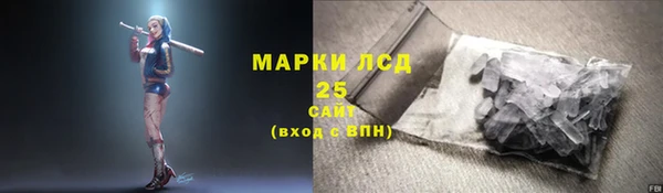 spice Богородицк
