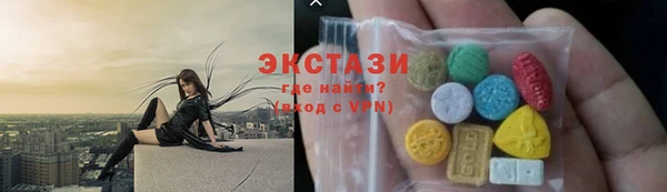 spice Богородицк