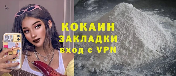 spice Богородицк