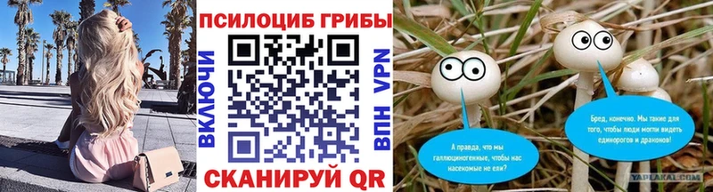 Галлюциногенные грибы Magic Shrooms  Красный Сулин 